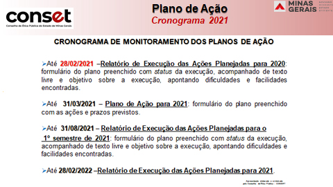 Plano de Ação Anual das Comissões de Ética - 2020/2021 